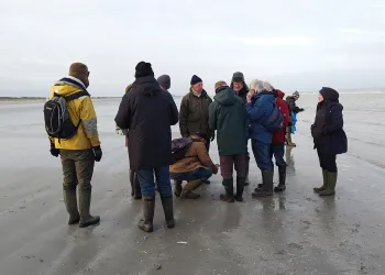 groep mensen op strand