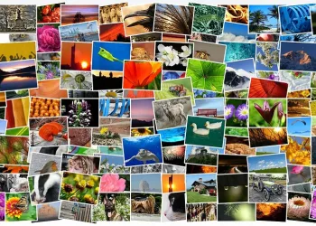 fotoalbum
