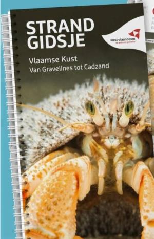 Strandgidsje Vlaamse kust van Gravelines tot Cadzand